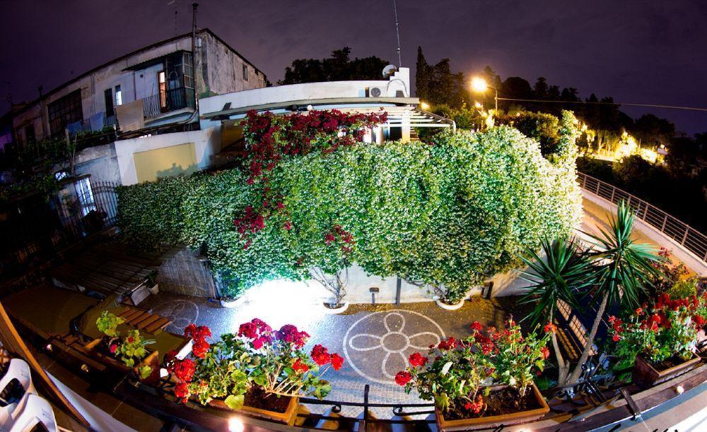 Elena Bed & Breakfast
